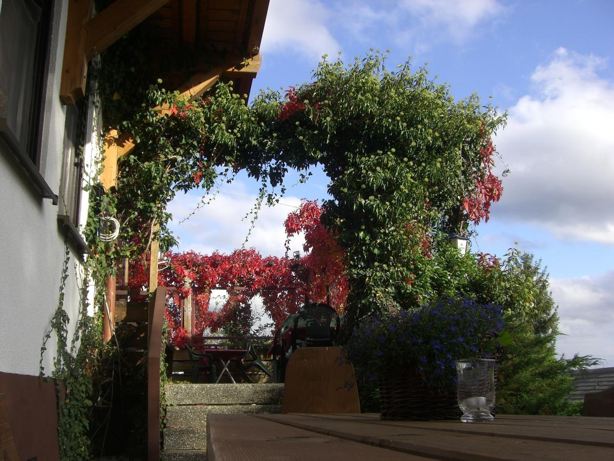 Hotel Dachsberger-Hof Wittenschwand Экстерьер фото